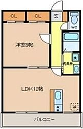 Sunshell-Chie1 1LDKの間取図画像