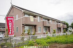 プリムローズ B
