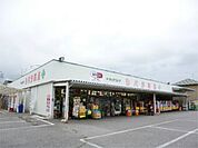 ドラッグストア 「シバタ薬品西川田店まで2108m」