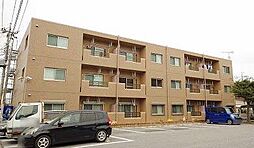 Y＆M GENTRY・AYU 101