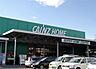 周辺：ホームセンター「カインズホーム 宇都宮平出店まで1697m」