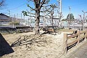 敷地内及び近所に公園あり