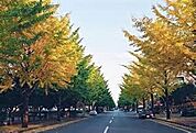 公園「陽南第一公園まで383m」