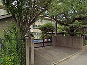横須賀市立神明小学校（1100m）