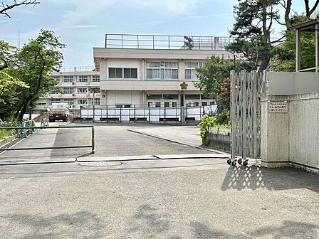 仙台市立八幡小学校 1230m