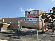 TAIRAYA浜田店（950m）