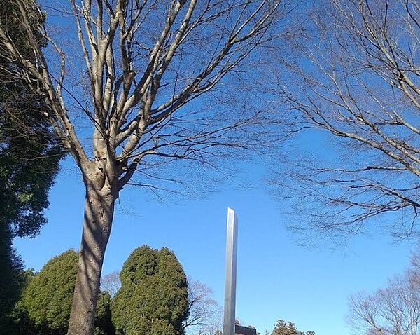 周辺を拡大表示