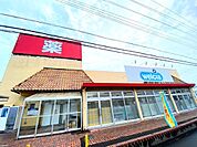 ウエルシア　石岡杉並店（267m）