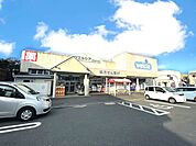 ウエルシア　石岡東光台店（800m）