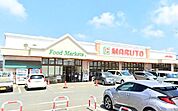マルト 泉店（1100m）