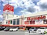 周辺：Olympic千葉桜木店（560m）
