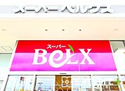 ベルクス柏大室店（500m）