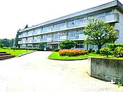 山崎小学校（450m）