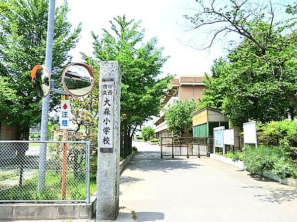 周辺を拡大表示