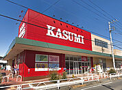 カスミフードスクエア柏千代田店（500m）