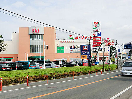 ヨークマート新柏店(800m)