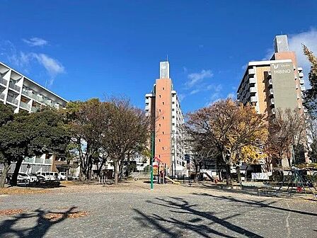 神野公園 250m