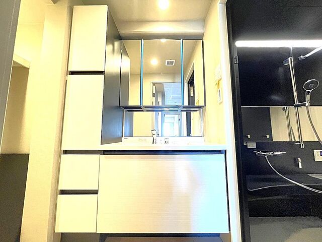 洗面 リーデンスタワー 18階/-