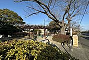 猿額公園 106m
