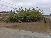 全景1