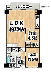 緑丘コータース