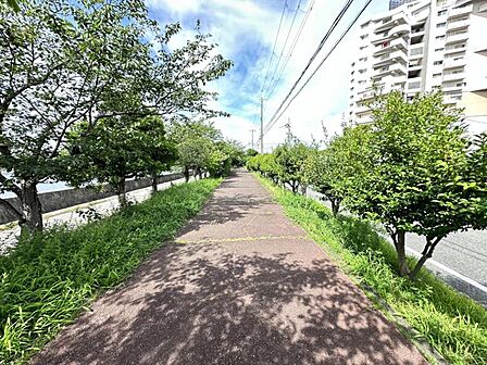 お散歩にいかがですか♪