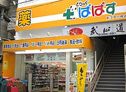 【ドラッグストア】どらっぐぱぱす　新江戸川橋店まで397ｍ