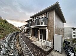 ヴァンドミール流田