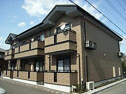 ヴィダ・ブローテ
