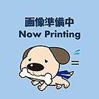 埼玉県蓮田市大字閏戸：物件画像