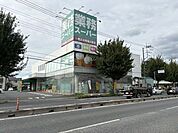 業務スーパー 蓮田店★お買い得な商品が揃っています★ 1570m
