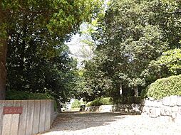 大字黒浜　売土地