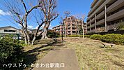 小茂根三丁目いこいの森広々とした芝生にベンチが並ぶ落ち着いた公園。春には緑も豊かで、子どもから大人まで楽しめます。 240m