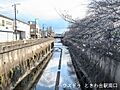 石神井川（間々...