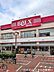 周辺：スーパーベルクス　板橋中台店「スーパーベルクス 板橋中台店」。新鮮な生鮮食品をはじめ豊富な品揃えとお得な価格が魅力です。館内には美容室や英語教室も併設し、広い駐輪場も完備。毎日の買い物と暮らしに便…
