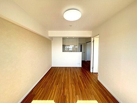その他内観