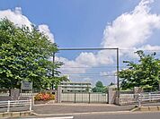 さいたま市立仲町小学校（480m）