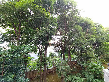 住戸からの眺望