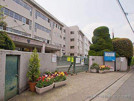 戸田市立戸田中学校(990m)