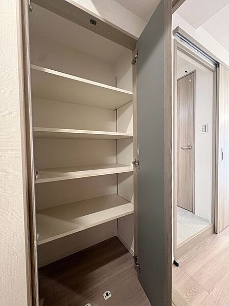 その他内観