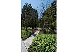 中庭・植栽