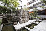 中庭・植栽