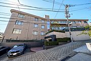 外観ひき