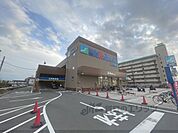 スーパーマルハチ　瓜生堂店まで290メートル