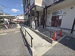 17 / 31