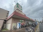 ライフ　太平寺店まで280メートル