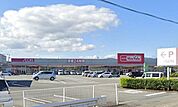 マックスバリュサンフラワー店 1000m