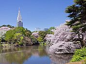 新宿御苑 徒歩8分。 600m