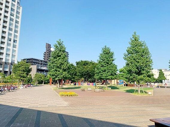 港南緑水公園 ...