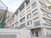 江東区立深川第五中学校 徒歩14分。 1070m